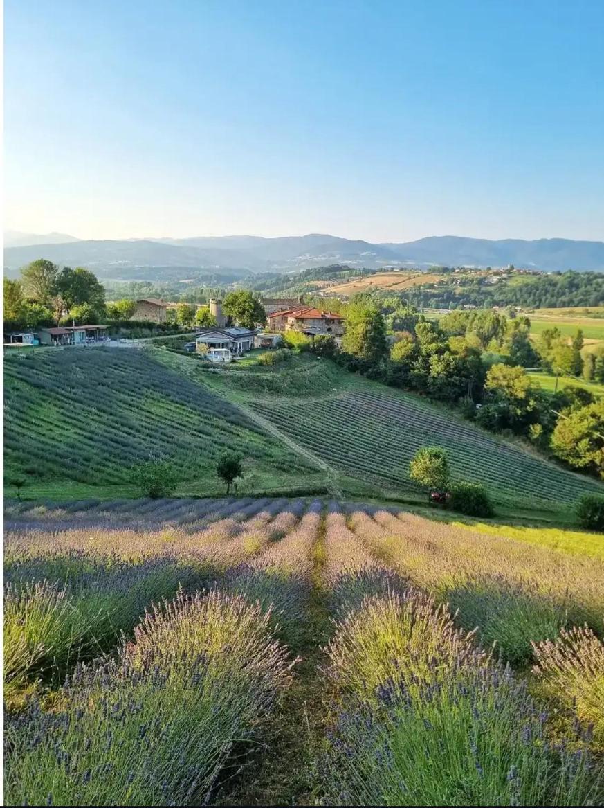 La Lavanda Di Poppi-Mini Appartamento Eksteriør billede