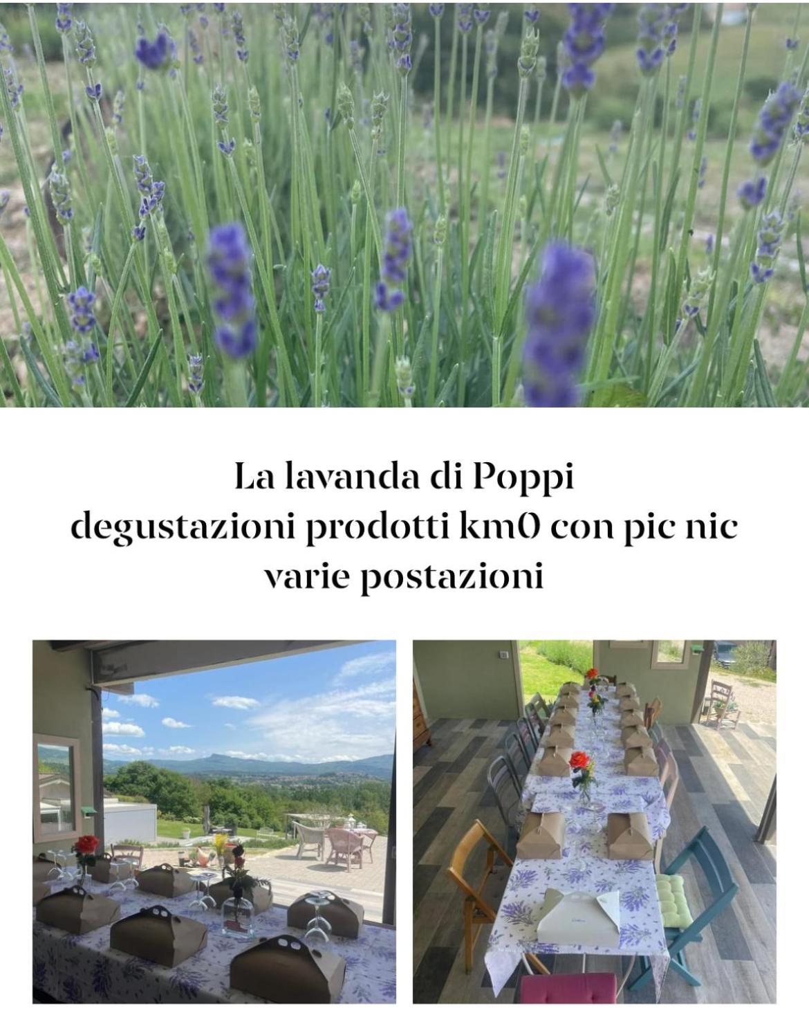 La Lavanda Di Poppi-Mini Appartamento Eksteriør billede