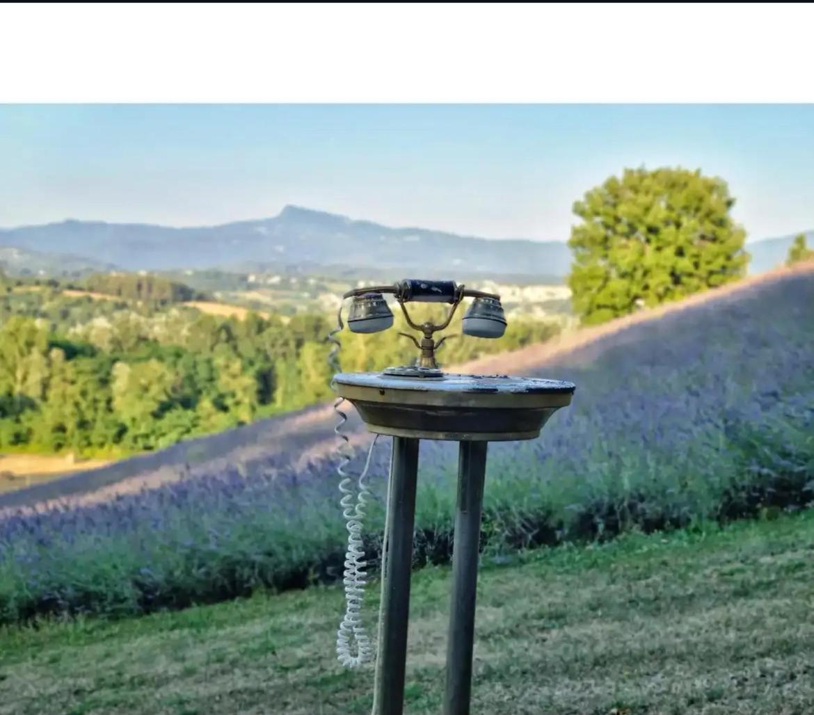La Lavanda Di Poppi-Mini Appartamento Eksteriør billede
