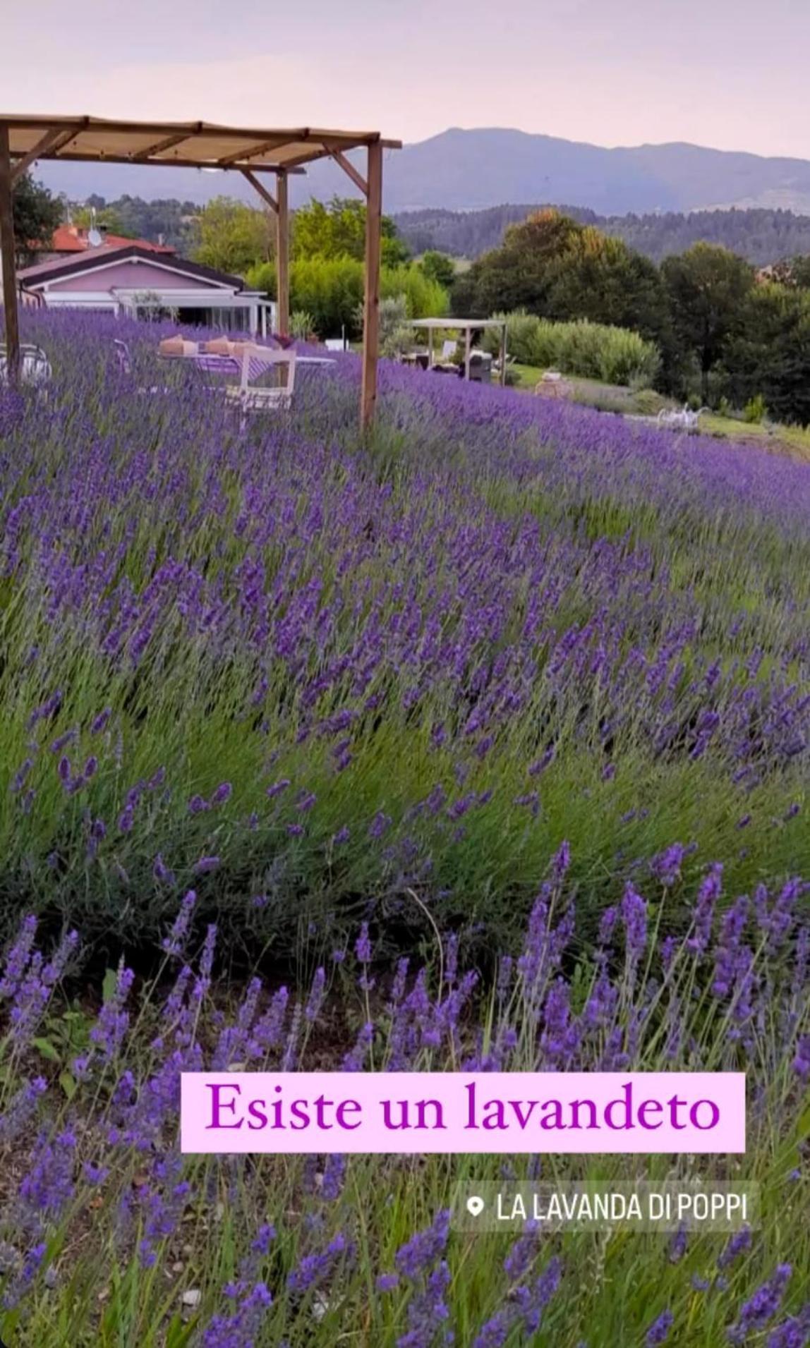 La Lavanda Di Poppi-Mini Appartamento Eksteriør billede